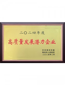 2024年度高质量生长潜力企业