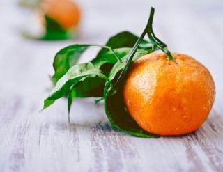 【关注】农业农村部转达2024年天下肥料质量监视抽查情形