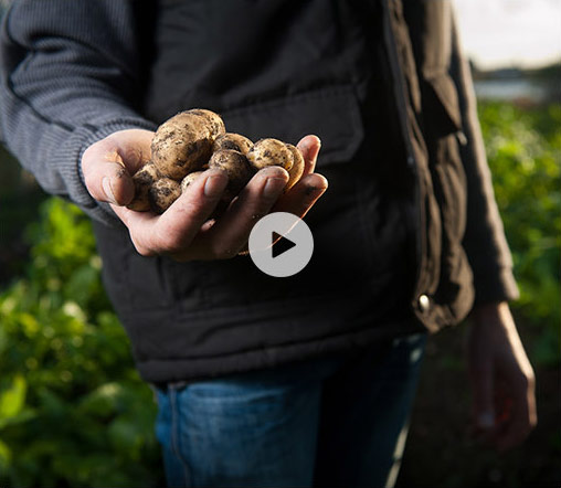 人生就是博视频